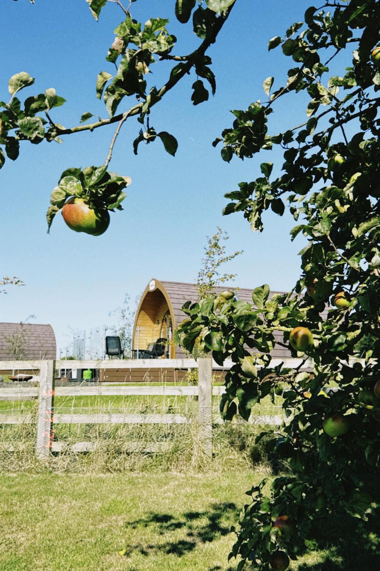 Mingle Dale- Bugthorpe Grange Glamping Villa สแตมฟอร์ดบริดจ์ ภายนอก รูปภาพ